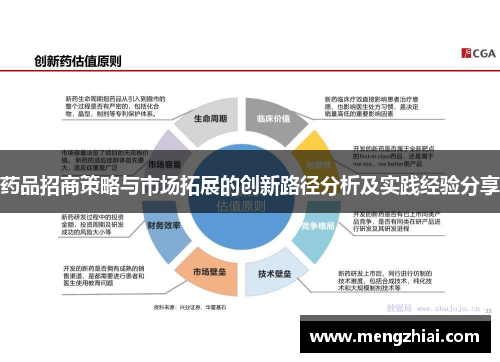 药品招商策略与市场拓展的创新路径分析及实践经验分享